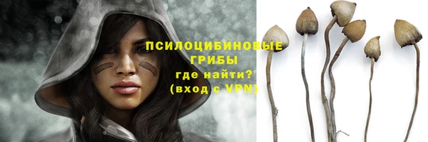 тгк Алексеевка