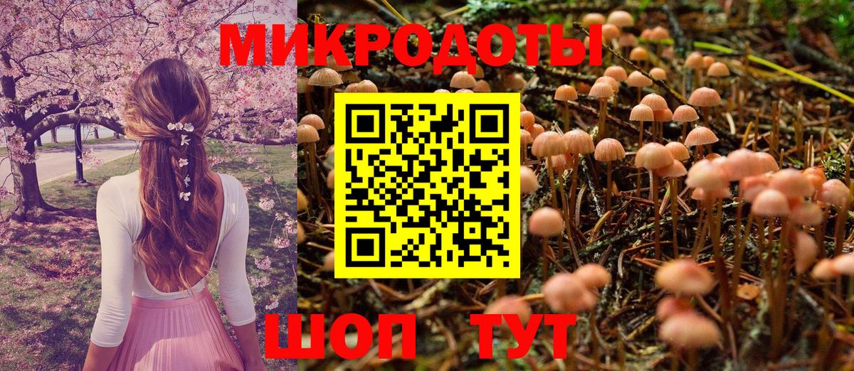 Истра  Галлюциногенные грибы Cubensis  где найти наркотики  Вход с VPN 