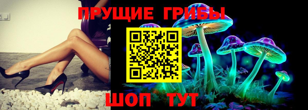 Галлюциногенные грибы Psilocybine cubensis Истра