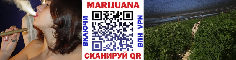 Бошки марихуана MAZAR  omg ссылка  Истра 